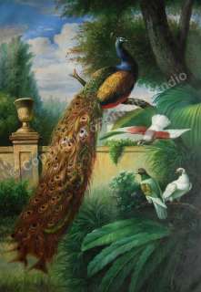 Peacock At Garden   Original Canvas Art Oil Painting XL  