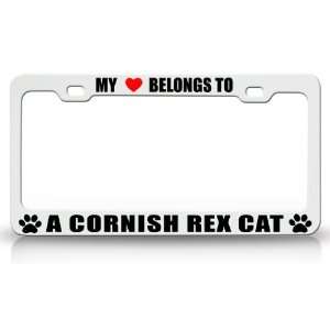 MY HEART BELONGS TO A CORNISH REX Cat Pet Auto License Plate Frame Tag 
