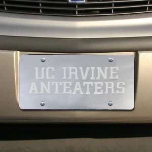  UC Irvine Anteaters Silver Mirrored Team Logo License 
