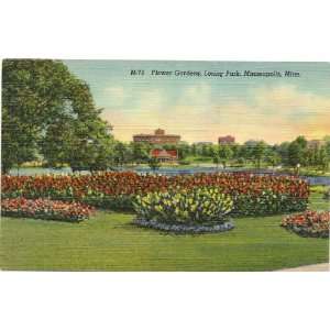  1950s Vintage Postcard Flower Gardens in Loring Park   Minneapolis 