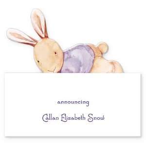  Velveteen Bunny Birth Announcement