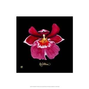    Vivid Orchid VIII   Poster by Ginny Joyner (13x19)