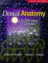   Dentistry, (0781727979), Julian B. Woelfel, Textbooks   