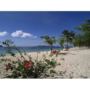  Palm Island, Near Young Island, the Grenadines, Windward 