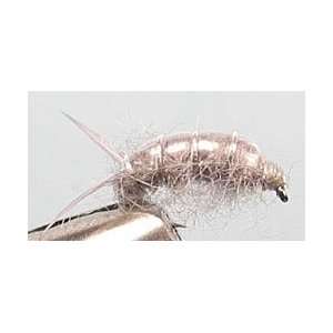  Sow Bug Size 14