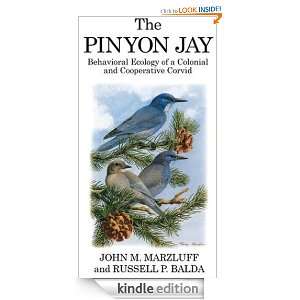 The Pinyon Jay Behavioral ecology of a colonial and cooperative 