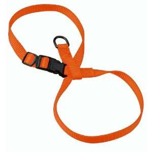  Hamilton 3/8 Inch Adjustable Figure 8 Pup Cat Harness 