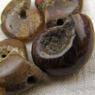 ammonites fossil nautilus spiral beads unusual stone set  