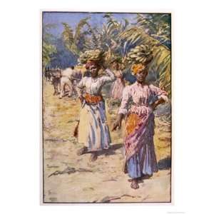   Jamaican Banana Plantation Giclee Poster Print, 24x32
