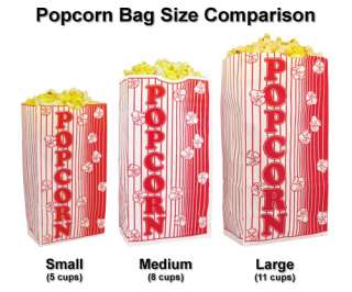 Case of 100 LARGE Individual Popcorn Serving Bags   Standalone Flat 