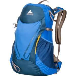  Gregory Fury 24 Backpack