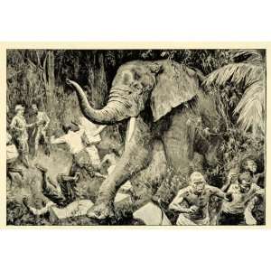  1907 Print Cannibals Congo Africa Wild Elephant Poachers 