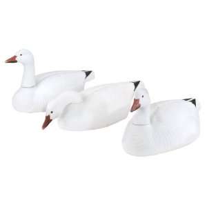  Academy Sports Avery 3 D Snow Goose Shells 12 Pack Sports 