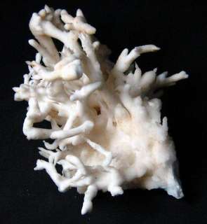 8LB fibrous snowy white ARAGONITE argx9iaz214  