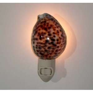  Authentic Real Sea Shell Nightlight, Brown Spotted Tiger Shell 