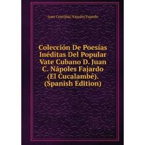   ©). (Spanish Edition) Juan CristÃ³bal NÃ¡poles Fajardo Books