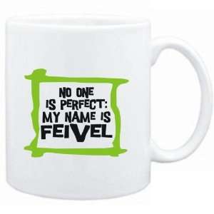   No one is perfect My name is Feivel  Male Names