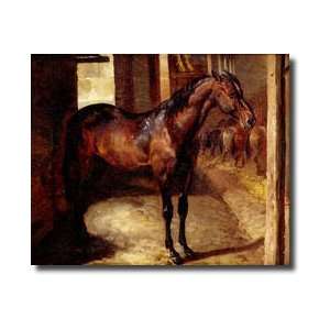 Dark Bay Horse In The Stable Giclee Print