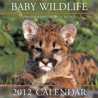   Bela Baliko Photography & Publishing In ( Calendar   Sept. 30, 2011
