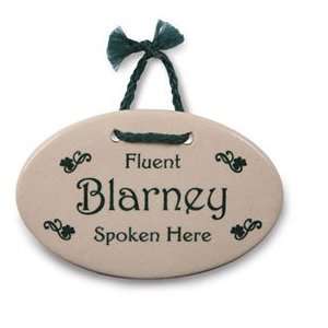  Fluent Blarney Spoken Here Plaque