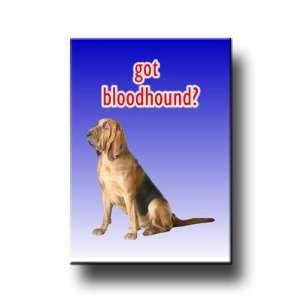  Bloodhound Got? Fridge Magnet 