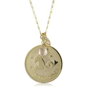   Horoscope Capricorn Coin and Teardrop Stone Pendant Necklace Jewelry