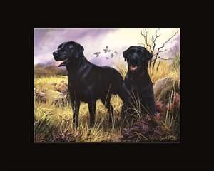 Black Labradors Beautiful Scenic Dog Matted Print  