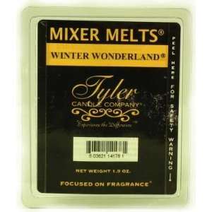  WINTER WONDERLAND Fragrance Scented Wax Mixer Melts by 
