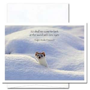  New Eyes   New Year Holiday Cards, Box of 10 cards and 