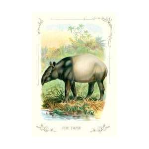  The Tapir 20x30 poster