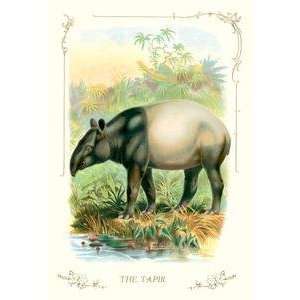  Vintage Art Tapir   11199 2