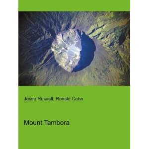 Mount Tambora Ronald Cohn Jesse Russell  Books