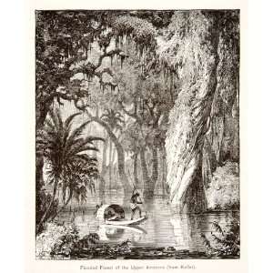  1879 Wood Engraving Flooded  Rain Forest Brazil 