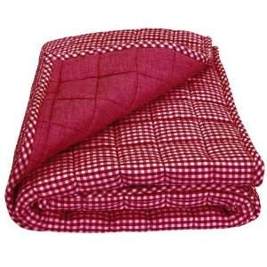  Tadpoles Classics Gingham Red   Coverlet Baby