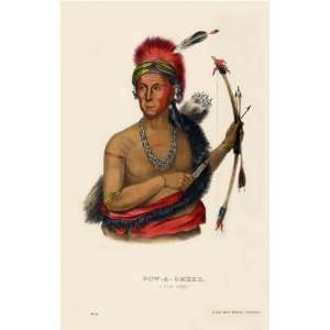   Fox Chief McKenney Hall Indian Print inch Fine Art 