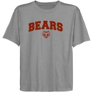  Brown Bears Youth Ash Logo Arch T shirt