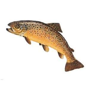  Salmo Trutta Poster (10.00 x 8.00)