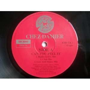  CHEZ DAMIER Can You Feel It 12 Chez Damier Music