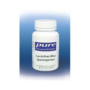  Lactobacillus Sporogenes 60C