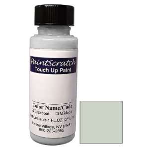   for 2004 Dodge Caravan (color code P4/AP4) and Clearcoat Automotive