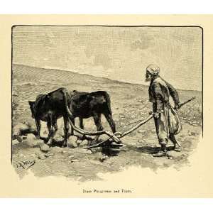   Farmer Cattle Livestock Farming   Original Engraving