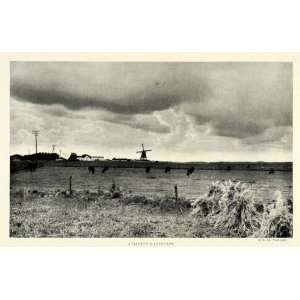  1922 Print Danish Windmill Denmark Newman Cattle Pasture 