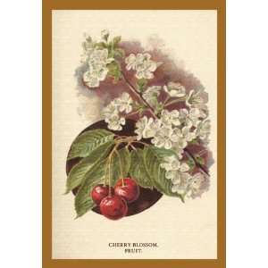   Buyenlarge Cherry Blossom Fruit 12x18 Giclee on canvas
