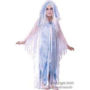  Childs Spooky Spirit Ghost Costume (SizeMd 8 10) Toys 