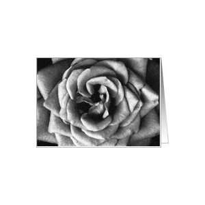  Rose   Charcoal Drawing Look   Blank Inside Card Health 