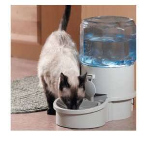  Electric Filtering Water Dispenser   Small Size Pet 