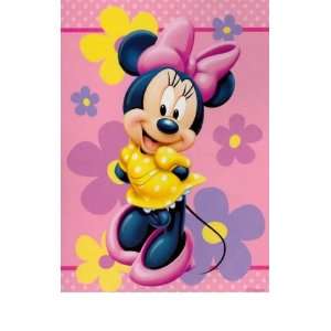  Minnie Mouse Twin Mink Plush Blankets