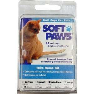  Soft Paws for Medium Cats