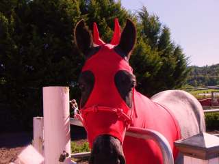   SMALL LITTLE DEVIL COSTUME Horse Hood Sleazy * X S (weanling or mini