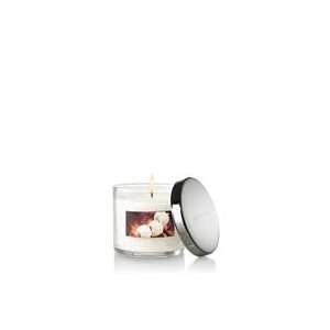 Bath and Body Works Slatkin & Co Marshmallow Fireside Scented Candle 4 